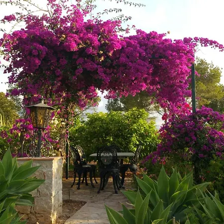 Villa Ref 147) 10 Persons *